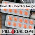 Red Knight Sex 27